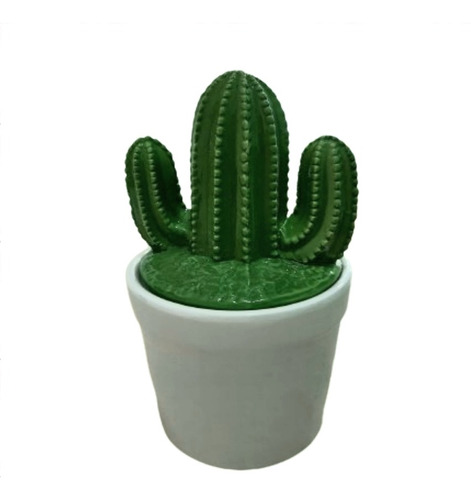 Cactus Cerámica 