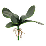 Folha De Orquídea Com Raiz 30x10cm Planta Artificial