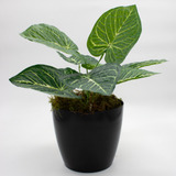 Planta Artificial Interior Con Maceta Nordica Negra 40cm