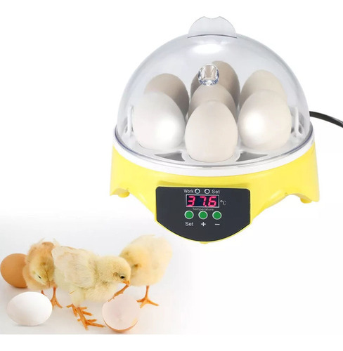 Mini Incubadora Para 7 Galinhas Ovos  Codorna  Faisão