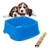 Plato Comedero Mascota Perro Gato Cuadrado Español 1.6l 23cm