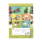 Felinos Domesticos - Serie Mint De 2005 - Hojita Block Completa B116 - 6 Valores Con 2 Complementos 