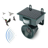 O Ahuyentador De Aves Ultrasónico Solar C/sensor De