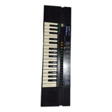 Organo Casio Sa-20 100 Sonidos -super Acompañamiento 