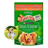 Ração Úmida Cães Adultos Pequenos Salmão Sachê 100g Dog Chow