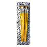 Kit Pincel Chato Ref. 815 Pintura Artesanato Tigre Nº10 C/12