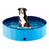 Piscina Para Mascotas Grandes 160x30cm Ducha Para Mascotas