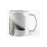 Taza Gatito Gato Persa - Gato Persa Filhote Calidad Premium