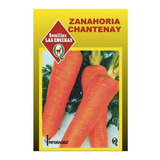 Semillas De Zanahoria Chantenay