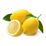 15 Sementes Do Limoeiro Anão Fruta P/ Plantar
