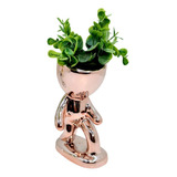 1 Vasos Robert Decorativo Bob Com Planta Cacto Suculenta
