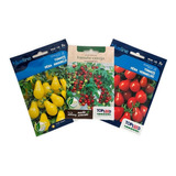 Kit Tomates Cereja Samanbaia, Tomate Pêra Vermelho E Amarelo