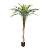 Árvore Planta Palmeira Fênix (21 Folhas) 190cm Realista