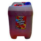 Shampoo Para Auto Espuma Activa De Colores Concentrado 20l