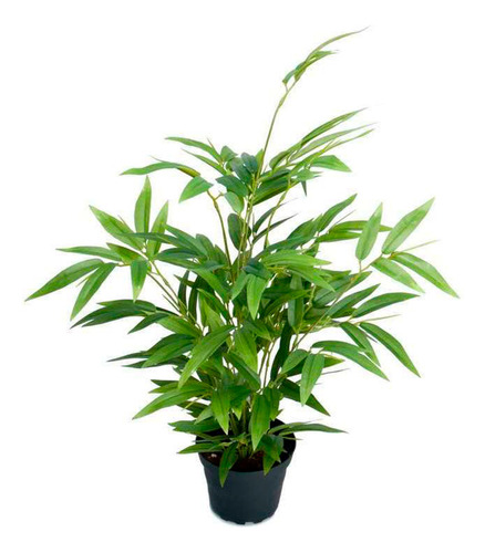 Bambú Grueso Planta Artificial 70cm Con Maceta Premium