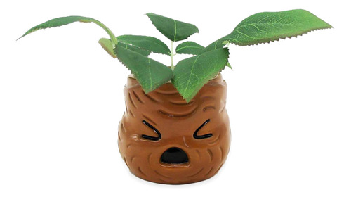 Silver Buffalo Mandrake Face Planta Decorativa Ews