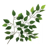 Folha De Ficus Artificial  60x50cm Toque Real Kit 12 Galhos