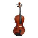 Violin Amadeus Cellini  Amvl007 4/4 Atigrado Mate Meses