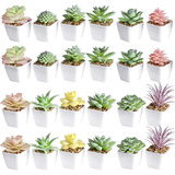 Set Mini Plantas Suculentas Recuerdo Maceta Ceramica