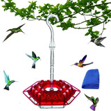 Hummingbird Feeder, 2024 New Hummingbird Feeder, Dotmalls