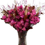 Arranjo Mix Flores Pink Naturais Secas + Vaso De Vidro