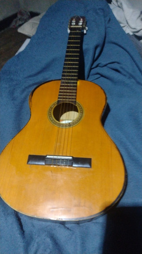 Guitarra  Fonseca 25p 