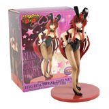 Figura De Acción Anime High School Dxd Rias Gremory Bunny