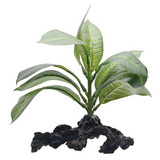 Fluval Plant Anubias Stemped Para El Acuario, 7-inch
