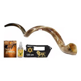 Shofar De Chifre Antílope + Livro - De Israel #j5