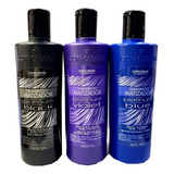 Pack X 10 Shampoo Matizador Violeta, Azul, Grafito 500ml