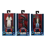 Neca Collection The Alien Set 3 Pieces