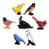 De Acción De Animales De Juguete En Miniatura De Pájaros
