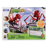 Kit Científico Hormiguero Ant Farm Antopia Selva Tropical Un