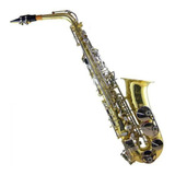 Saxofon Alto Century Combinado Cas-200c Cnsx007 Msi