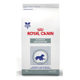 Royal Canin Starter Raza Mediana Alimento Perro 4kg *