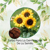 Turba Canadiense Especial Para Semillas De Girasol 