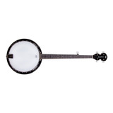 Banjo Americano Strinberg Wb50