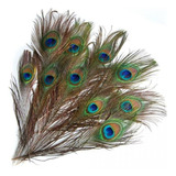 2x 10 Plumas De Cola De Ojo De Pavo Real For Manualidades,