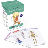 Tarjetas Anatomía: 300 Tarjetas Con Dibujos Anatómicamente Y