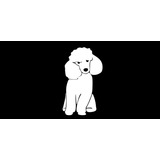 Stickers Decorativos  Perrito French Poodle, Carro, Laptop  