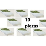 Cajas De Unicel (semilleros) Paquete De 10 Pzas