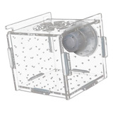 Caja De Cría De Peces, Caja De Incubadora Para 8cmx8cmx8cm