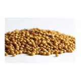 Fertilizante Osmocote Plus 15-9-12 (8m) - 8kg