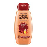 Garnier Whole Blends Restaurador Shampoo Remedio De Arce,