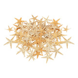 * Decoración De Estrella De Mar Natural Para 1-5cm 100