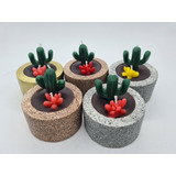 5 Velas Cactus Suculenta Aromática Decorativa En Maceta 