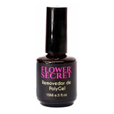 Removedor Polygel 15 Ml