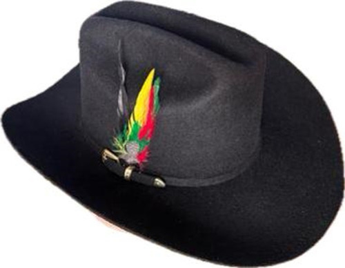 Sombrero De Lana Texana