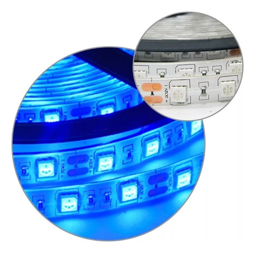 Tira Led Smd 5050 Siliconada Exterior 5 Metros Azul