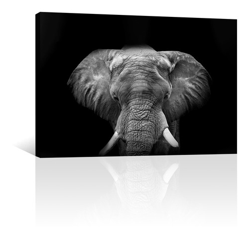 Cuadro Decorativo Animales Canvas Elefante Con Colmillos